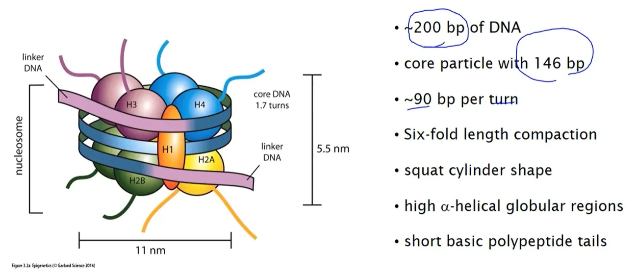 Post-Image