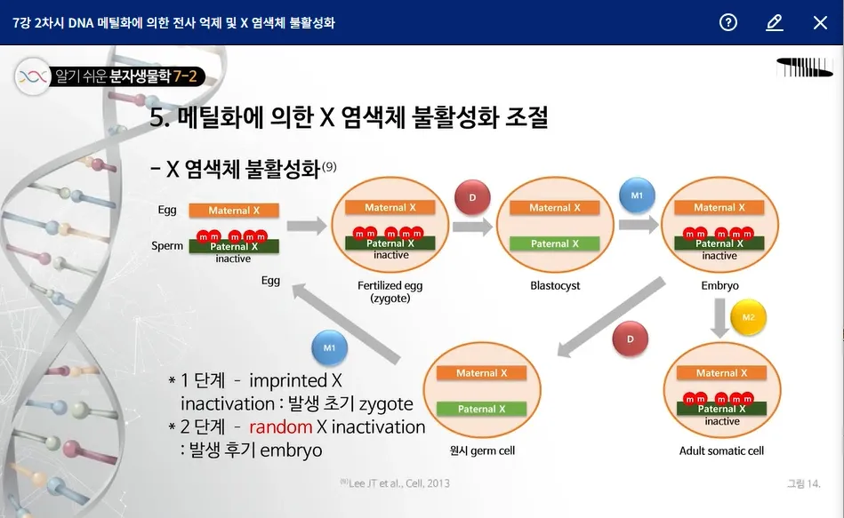 Post-Image
