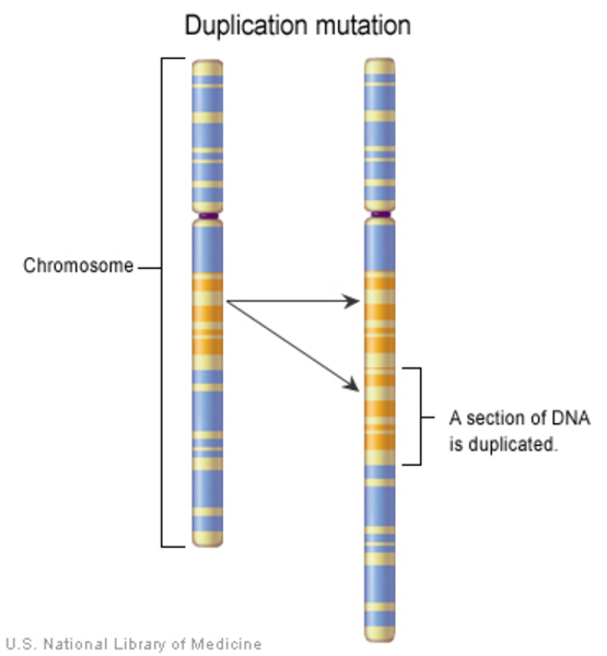 Post-Image