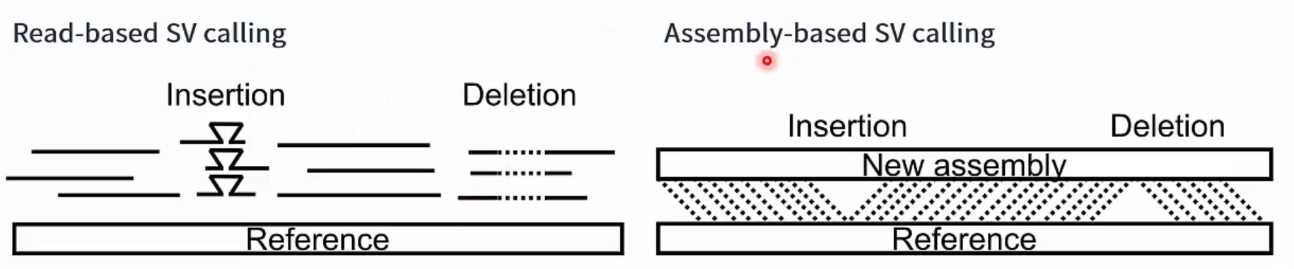 Long Read Sequencing VI - SV Calling | Hubert Effect