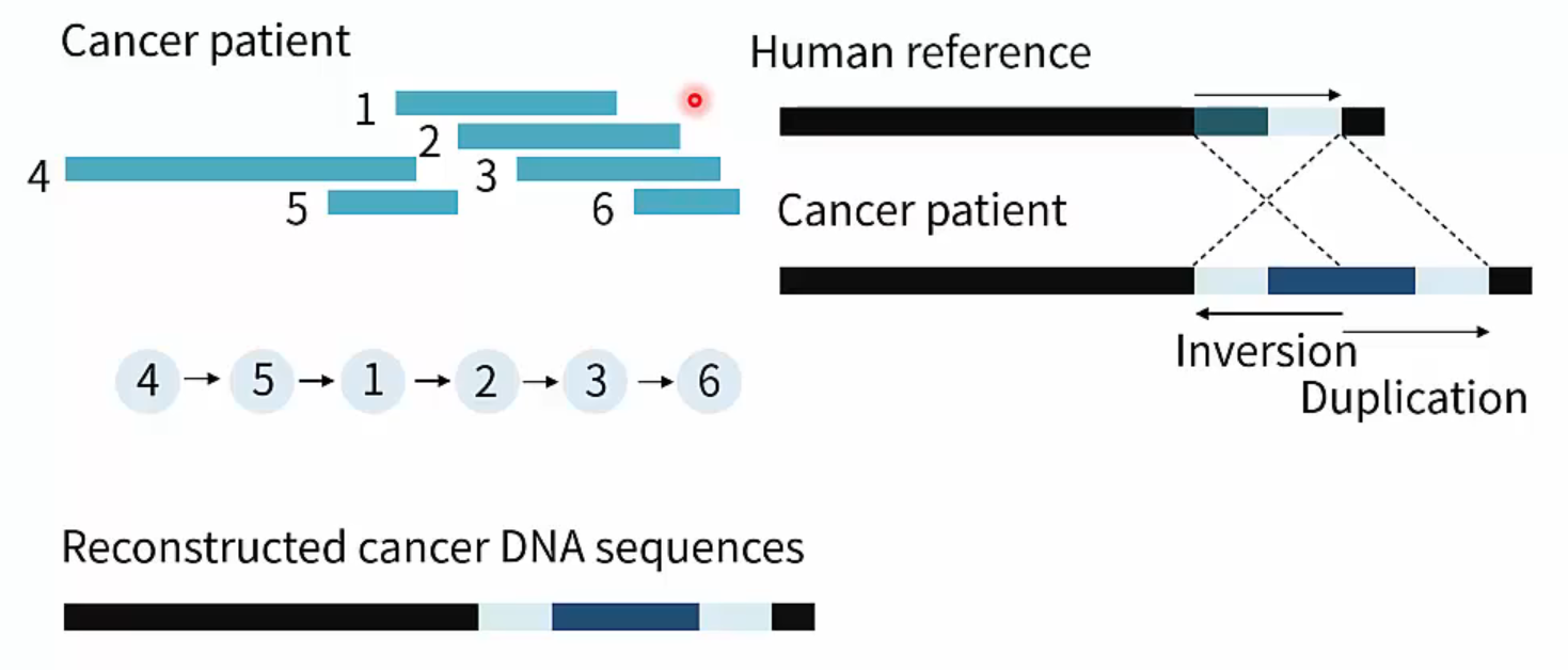 Long Read Sequencing I - Introduction | Hubert Effect