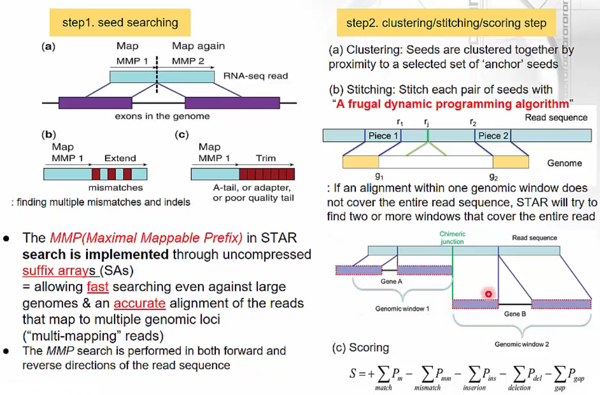 Transcriptome II - Data Preprocessing | Hubert Effect